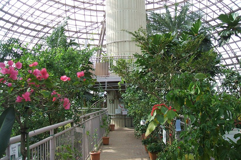 🌳 동곡산 과일 공원(토고쿠산 후르츠 파크) 이미지 3